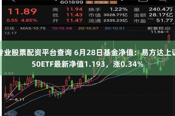 专业股票配资平台查询 6月28日基金净值：易方达上证50ETF最新净值1.193，涨0.34%