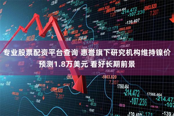 专业股票配资平台查询 惠誉旗下研究机构维持镍价预测1.8万美元 看好长期前景