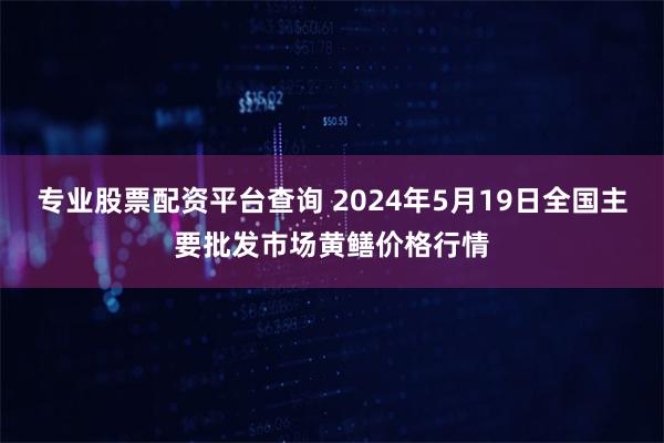 专业股票配资平台查询 2024年5月19日全国主要批发市场黄鳝价格行情