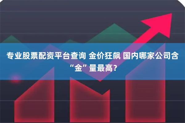 专业股票配资平台查询 金价狂飙 国内哪家公司含“金”量最高？