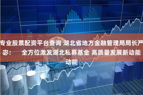 专业股票配资平台查询 湖北省地方金融管理局局长严宓：    全方位激发湖北私募基金 高质量发展新动能