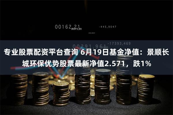 专业股票配资平台查询 6月19日基金净值：景顺长城环保优势股票最新净值2.571，跌1%