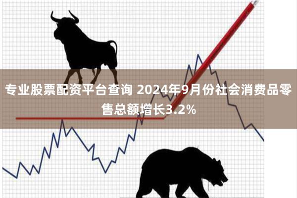 专业股票配资平台查询 2024年9月份社会消费品零售总额增长3.2%