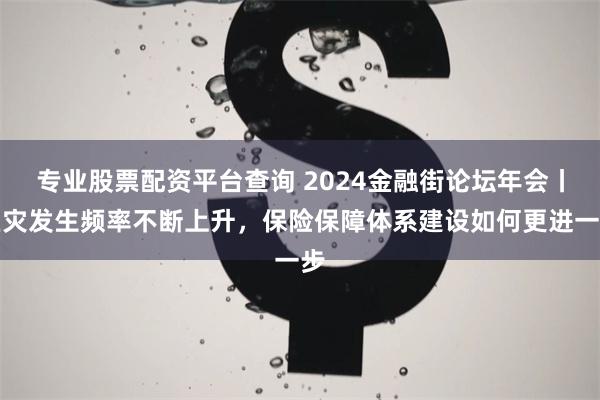 专业股票配资平台查询 2024金融街论坛年会丨巨灾发生频率不断上升，保险保障体系建设如何更进一步