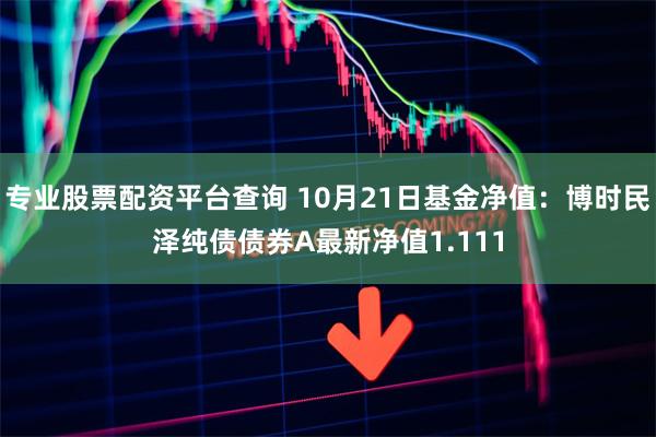 专业股票配资平台查询 10月21日基金净值：博时民泽纯债债券A最新净值1.111