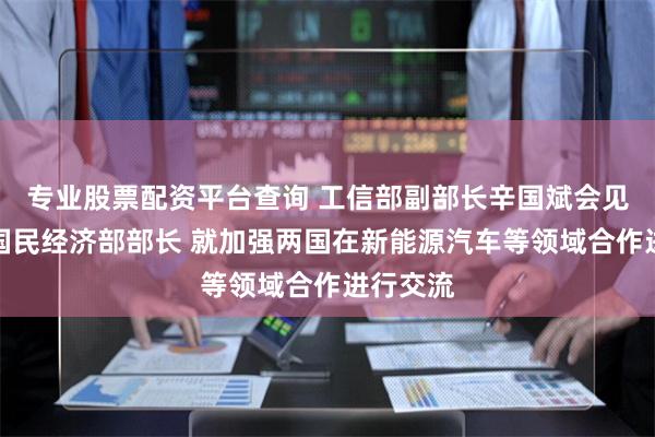 专业股票配资平台查询 工信部副部长辛国斌会见匈牙利国民经济部部长 就加强两国在新能源汽车等领域合作进行交流