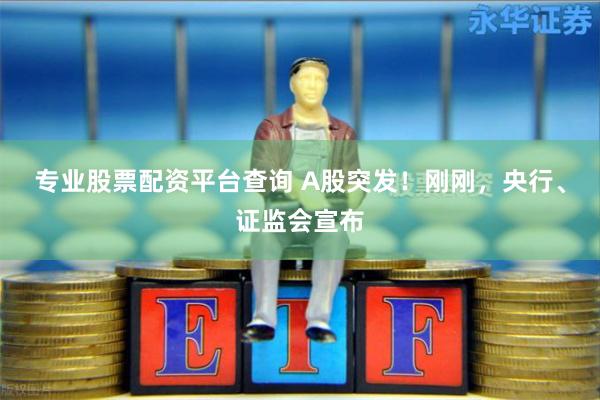 专业股票配资平台查询 A股突发！刚刚，央行、证监会宣布