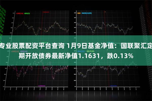 专业股票配资平台查询 1月9日基金净值：国联聚汇定期开放债券最新净值1.1631，跌0.13%
