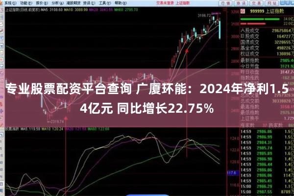 专业股票配资平台查询 广厦环能：2024年净利1.54亿元 同比增长22.75%